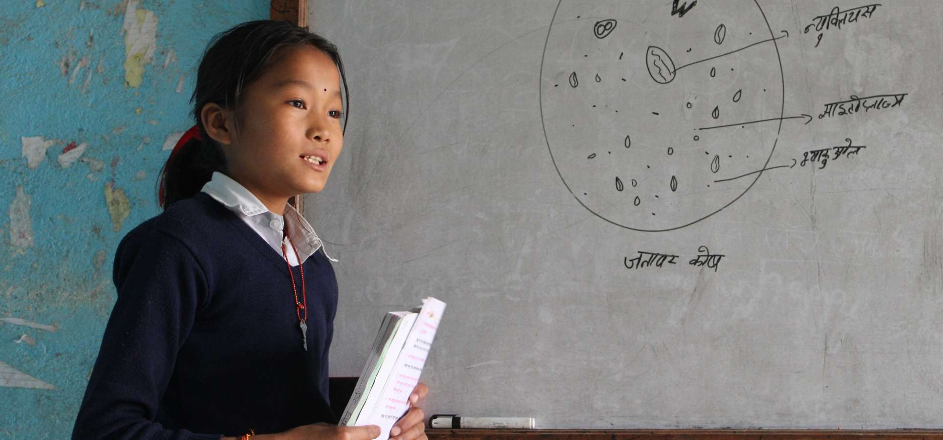 Ein junges Mädchen bei einer Biologiestunde in der Schule. Die Kleine steht an der Tafel.