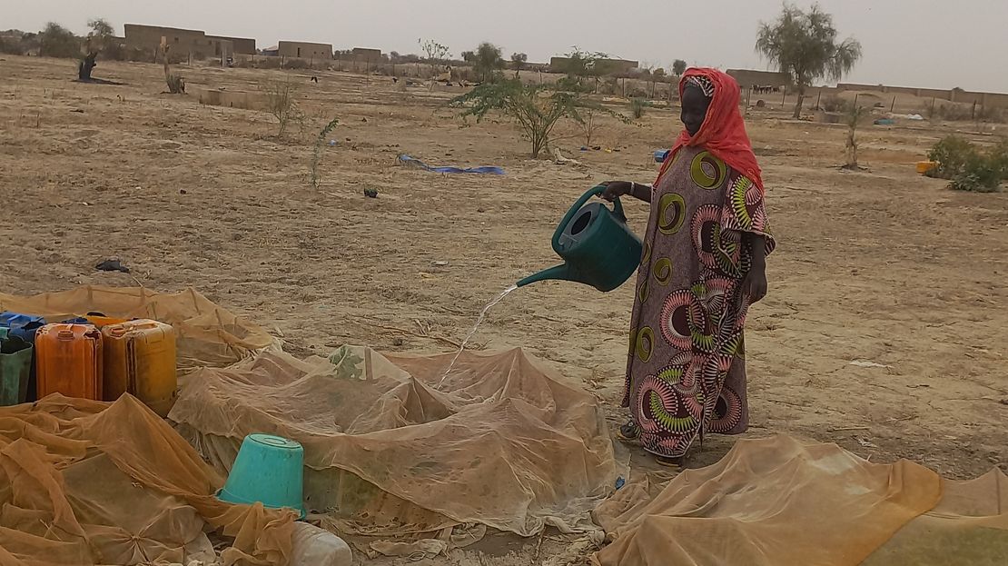 Fadimata bewässert ihren Garten - in Mali leiden viele Bauern unter den Folgen des Klimawandels.