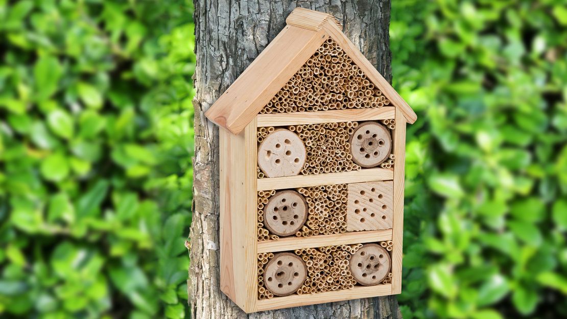 Bienenhotel