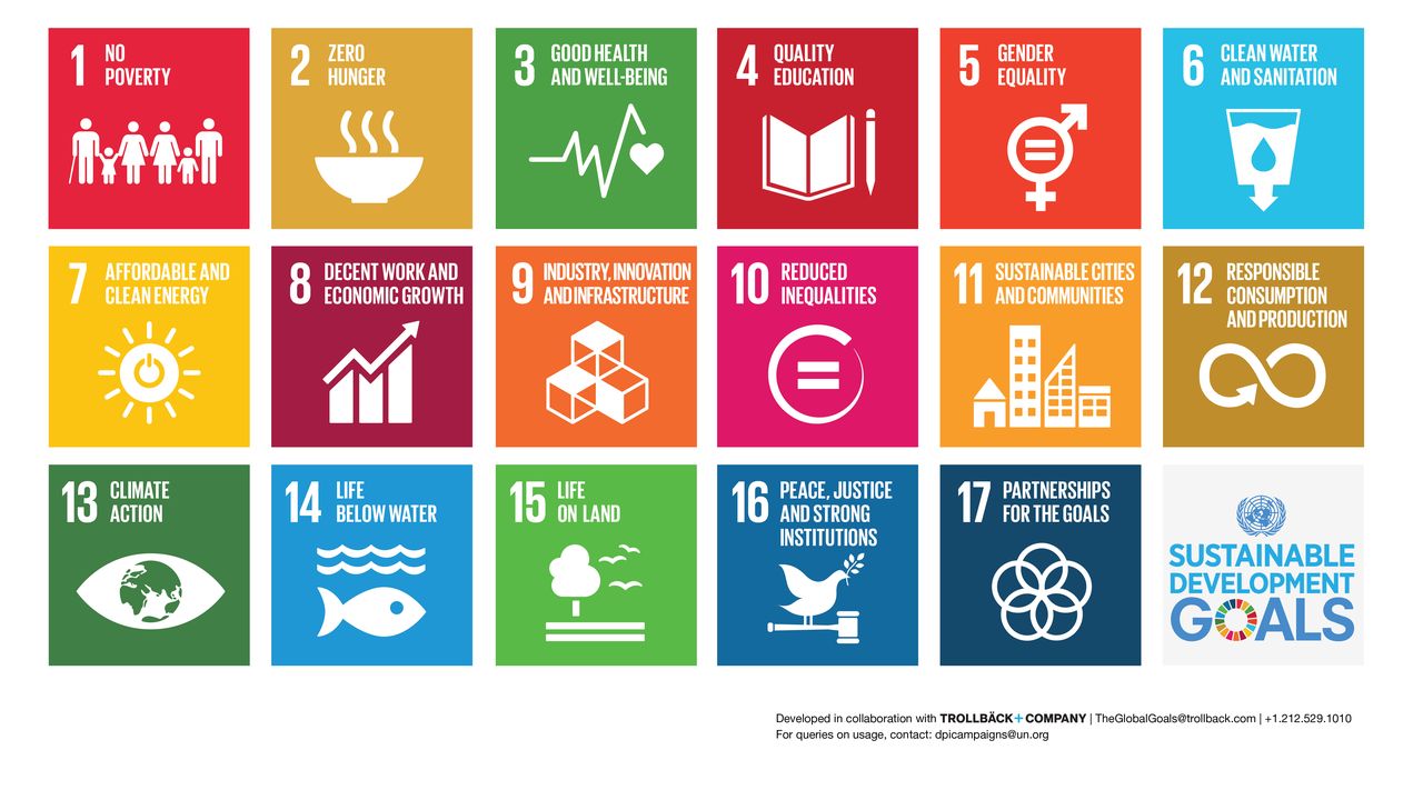 Die 17 Nachhaltigkeitsziele oder Sustainable Development Goals