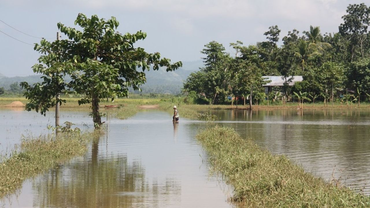 Überschwemmte Reisplantage auf den Philippinen nach einem Monsun