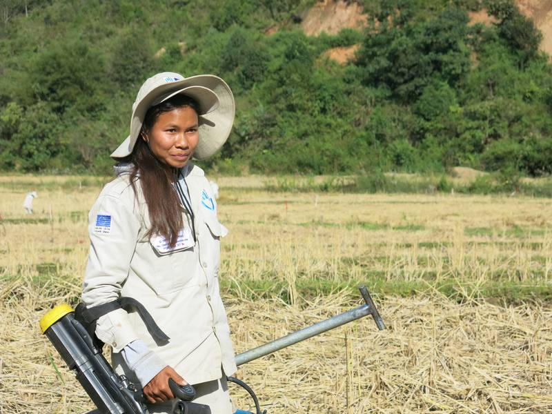 Eine junge Frau steht auf einem Feld in Laos.