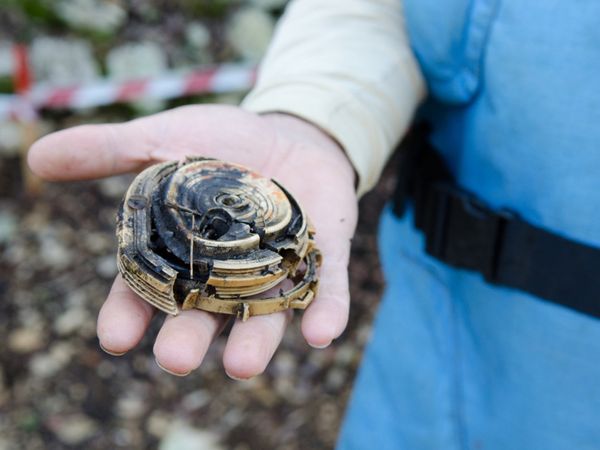 Entschärfte Landmine auf der Hand eines Entminers