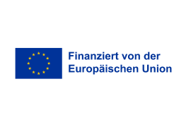 DG NEAR: Europäische Nachbarschaftspolitik und Erweiterungsverhandlungen logo
