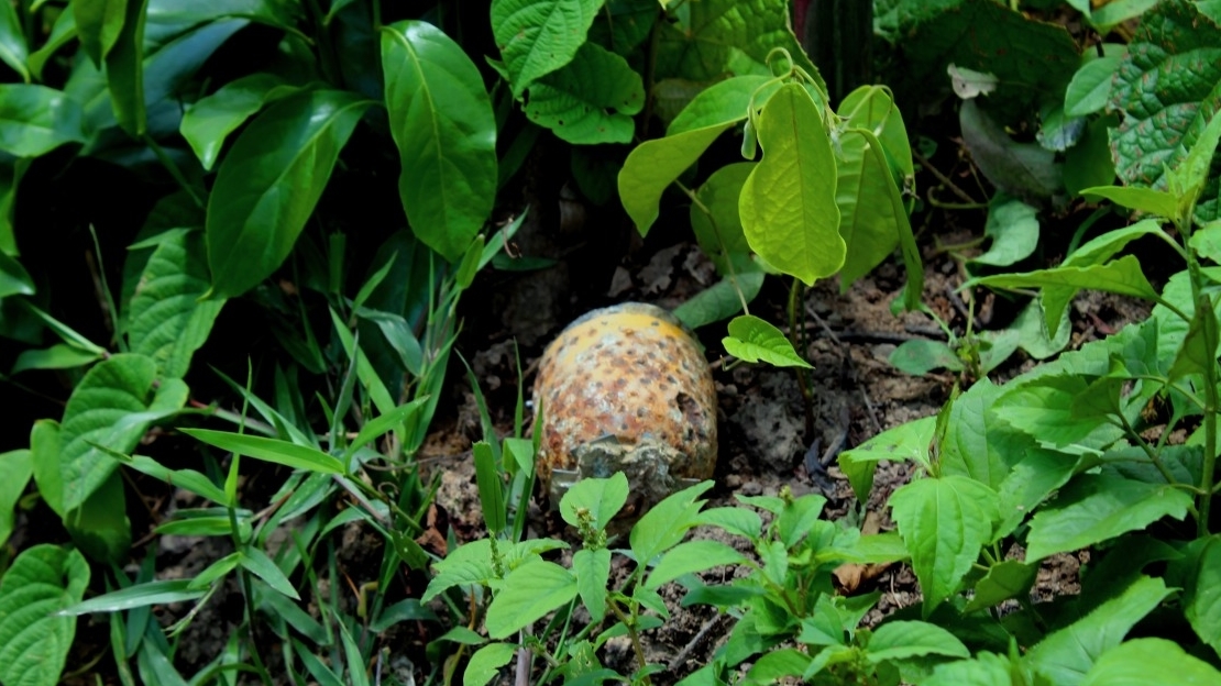 Streumunition im Wald in Laos