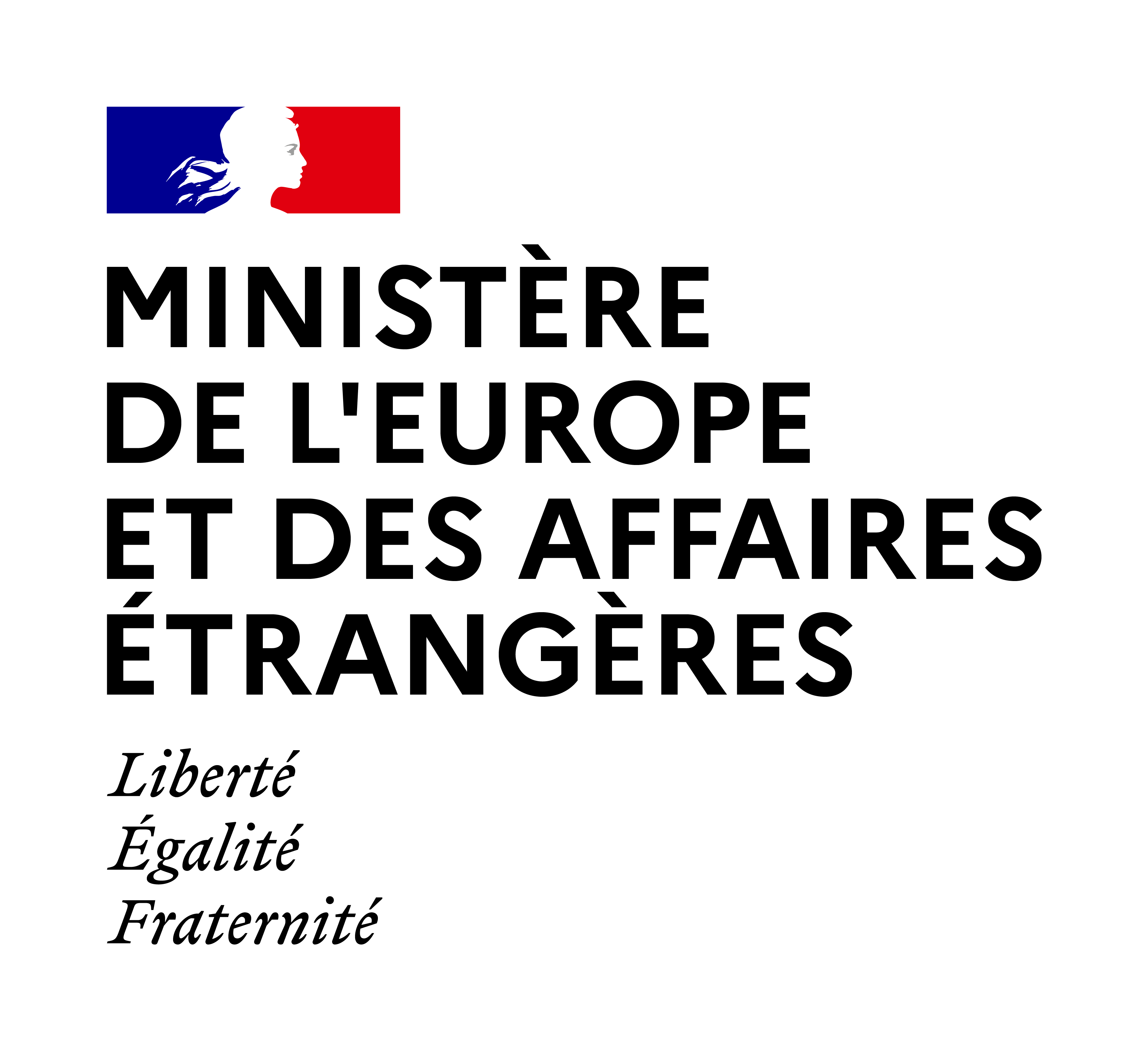 French Ministry of Foreign Affairs (MAE) Logo